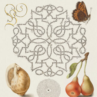 Stampa d'arte