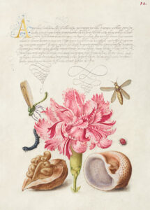 Stampa d'arte