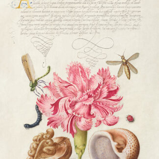Stampa d'arte