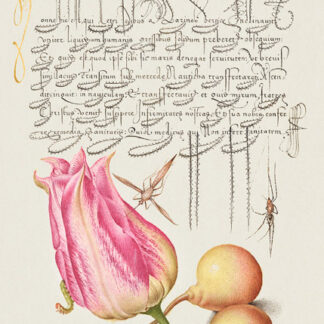 Stampa d'arte