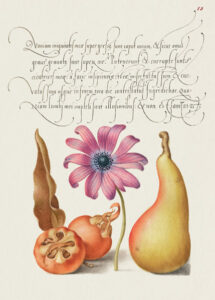 Stampa d'arte