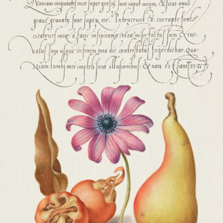 Stampa d'arte