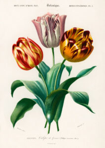 Stampa d'arte