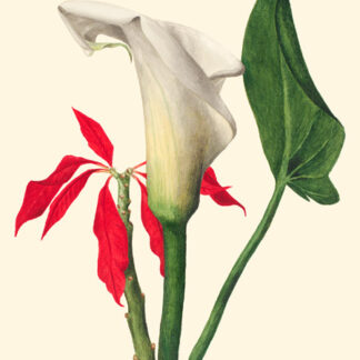 Stampa d'arte