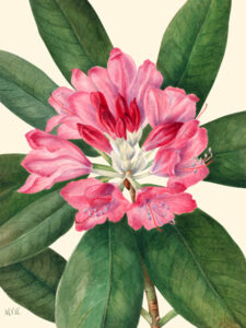 Stampa d'arte