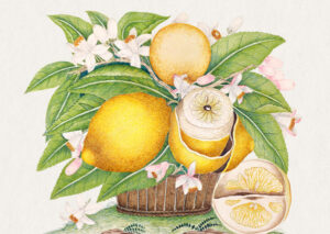 Stampa d'arte