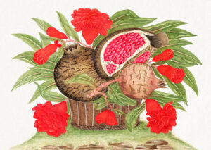 Stampa d'arte