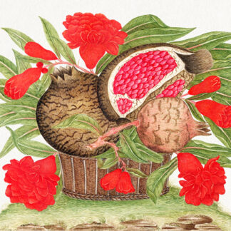Stampa d'arte