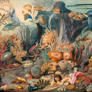 Stampa d'arte