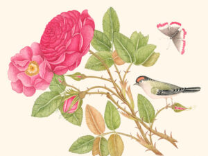 Stampa d'arte