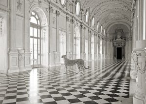 Stampa d'arte