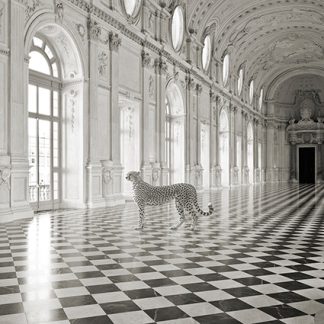 Stampa d'arte