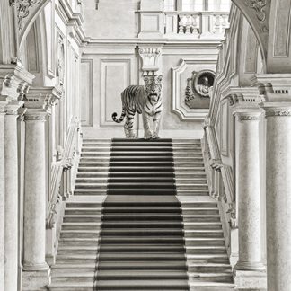 Stampa d'arte