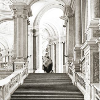 Stampa d'arte