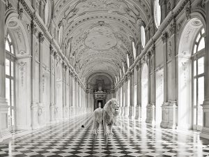 Stampa d'arte