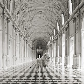 Stampa d'arte