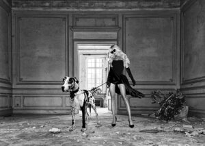 Stampa d'arte