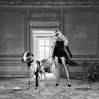 Stampa d'arte