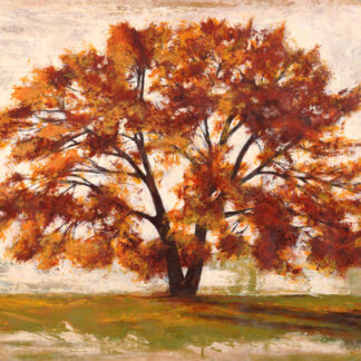 Stampa d'arte