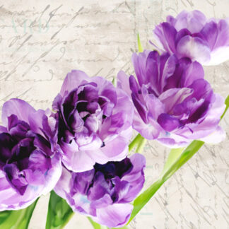 Stampa d'arte