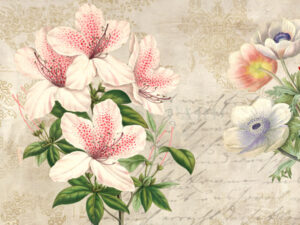 Stampa d'arte