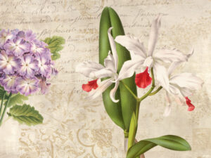 Stampa d'arte