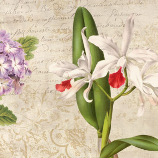 Stampa d'arte