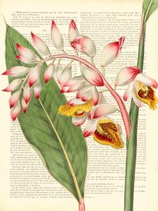 Stampa d'arte