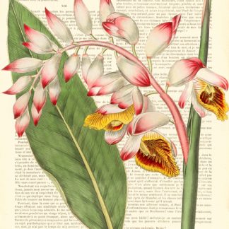 Stampa d'arte