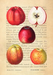 Stampa d'arte