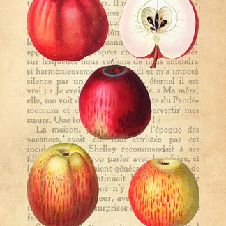 Stampa d'arte