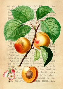 Stampa d'arte