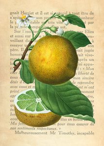 Stampa d'arte