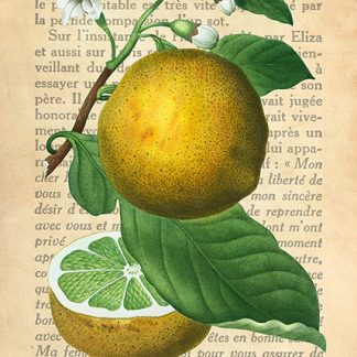 Stampa d'arte