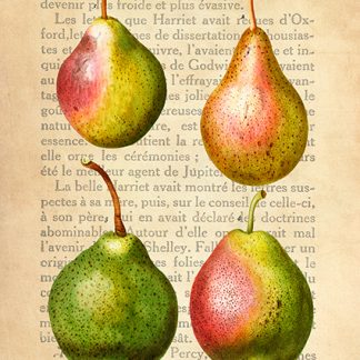 Stampa d'arte