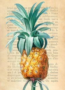 Stampa d'arte