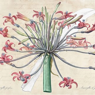 Stampa d'arte
