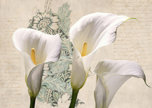 Stampa d'arte