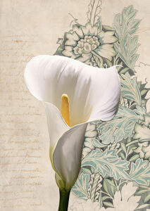 Stampa d'arte