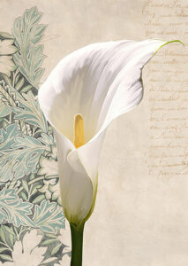Stampa d'arte