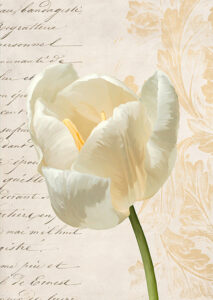 Stampa d'arte