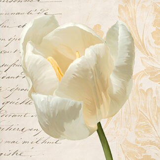 Stampa d'arte