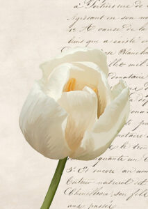 Stampa d'arte