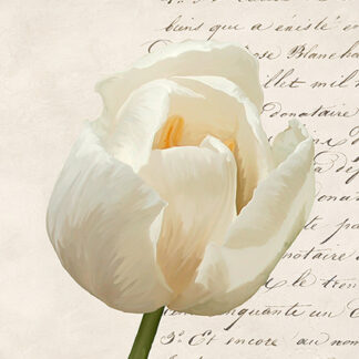 Stampa d'arte