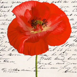 Stampa d'arte