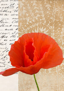 Stampa d'arte