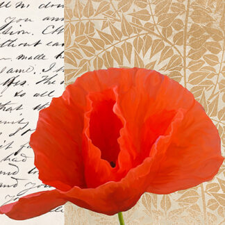 Stampa d'arte