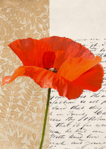 Stampa d'arte