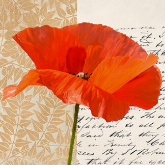 Stampa d'arte