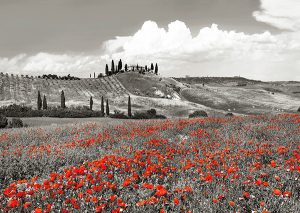 Stampa d'arte